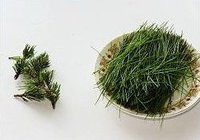 松针芋儿鸡的做法 步骤1