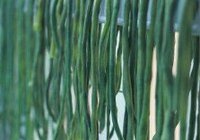 干豆角炖五花肉的做法 步骤3