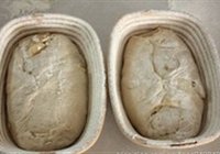 苹果酵母面包的做法 步骤9