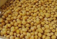 原味纯豆浆的做法 步骤1