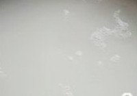萝卜丝扇贝包子的做法 步骤2