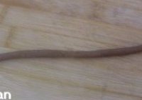 圣诞小老头儿的拐棍的做法 步骤4