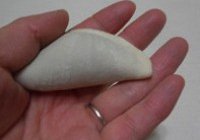 山西永济牛肉饺子的做法 步骤37