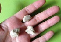 蘑菇莜面鱼鱼的做法 步骤5