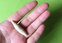 蘑菇莜面鱼鱼的做法 步骤6