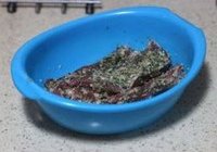 迷迭香烤排骨的做法 步骤4