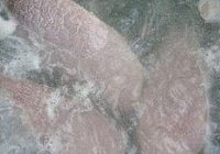牛肉海带卷的做法 步骤2