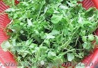 荠菜肉馅包的做法 步骤7