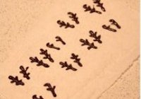 驯鹿小蛋糕的做法 步骤7