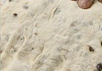 巧克力面包花的做法 步骤8