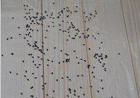 粢饭团的做法 步骤3