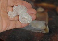 秘制红烧鸡爪的做法 步骤10