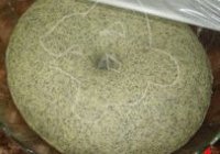 黑豆馒头的做法 步骤4