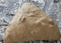 杂粮面包的做法 步骤4