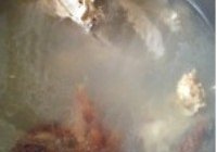 栗子白菜鸭架汤的做法 步骤5