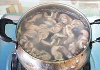 重庆辣子肥肠的做法 步骤7