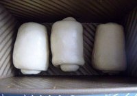 北海道吐司的做法 步骤24