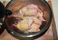 枣杞乳鸽汤的做法 步骤2