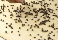 酥脆千层丹麦的做法 步骤7
