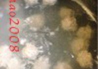 小白菜氽丸子的做法 步骤9