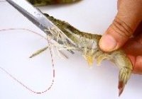 避风塘虾的做法 步骤1