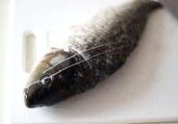 豆浆煮鲤鱼的做法 步骤4