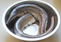 蒜子烧鳗鱼的做法 步骤1
