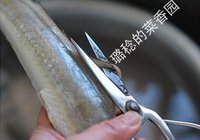 蒜子烧鳗鱼的做法 步骤3