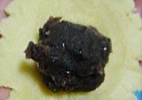 菊花酥的做法 步骤13