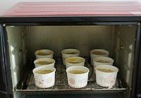 香蕉蔓越莓玛芬的做法 步骤10