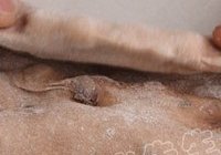 红酒巧克力吐司的做法 步骤7