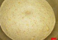 小麦胚芽玉米面包的做法 步骤5