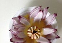 莲花蛋中蛋的做法 步骤6