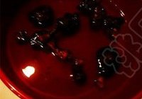 黑胡椒冬菇焖鸡的做法 步骤2