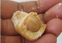 腰果酥饼的做法 步骤17