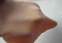胡萝卜春饼的做法 步骤15