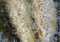麻辣小黄鱼的做法 步骤9