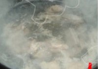 青苹果排骨的做法 步骤1