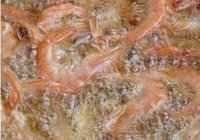 蒜香酥脆大虾的做法 步骤3