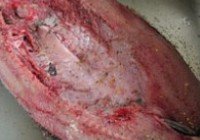 腌腊鱼的做法 步骤7