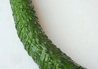 青蛇送瑞的做法 步骤4