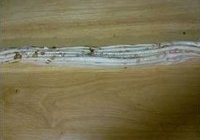 特色金牌手撕饼的做法 步骤17