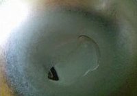 锅底的做法 步骤15