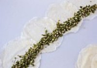 荠菜春卷的做法 步骤4