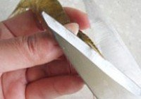 蒜蓉开边虾的做法 步骤2