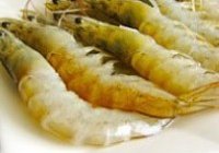 蒜蓉开边虾的做法 步骤1