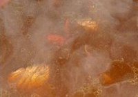 卤牛肉的做法 步骤5